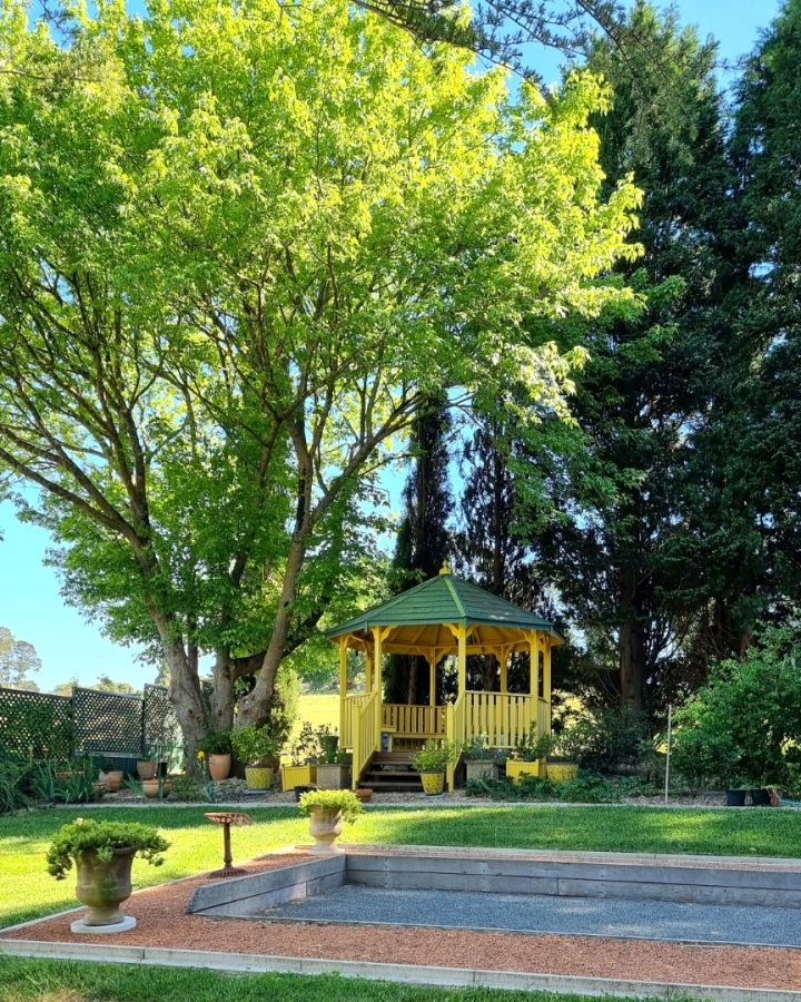 Home Page Boules Court